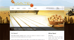 Desktop Screenshot of mateconsulting.com