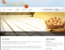 Tablet Screenshot of mateconsulting.com